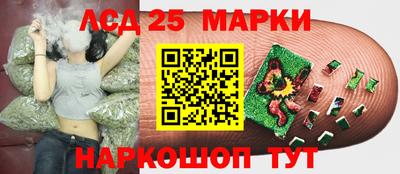 ГАЛЛЮЦИНОГЕННЫЕ ГРИБЫ Гусиноозёрск