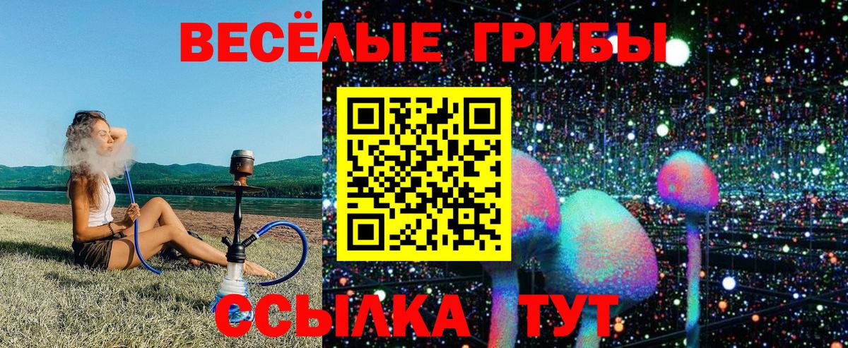 Галлюциногенные грибы MAGIC MUSHROOMS Можга